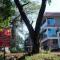 Rutus Holidays Resort Panhala