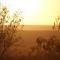 Natures Rest Lapa - Oudtshoorn