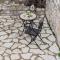 Petra Thea Villa Karitaina