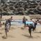 Hashpoint Surf Camp