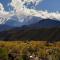 ArribadelValle - Casas de Altura - Potrerillos