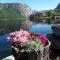 Hytte ved Preikestolen