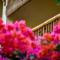Owa Lodge Areguling