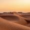 Arabian Oryx Camp