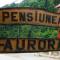 Pensiunea Aurora Albac