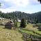 Pensiunea Aurora Albac