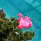 Hotel Jaiba Mahahual - Adults Only - Mahahual