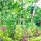 Kibale Forest Camp by NATURE LODGES LTD