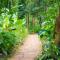 Kibale Forest Camp by NATURE LODGES LTD