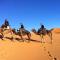 Sahara Bedouin camp