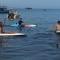 Arto Moro Bunaken