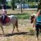 Mobile Home Vacances - Camping photo 11