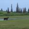Caribou Lodge Alaska
