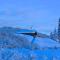 Caribou Lodge Alaska