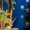 "Vainilla B&B" - Stylish Comfort in Playa del Carmen