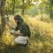 Pench Jungle Camp