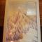 Hakuba Powder Cottage Deep