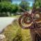 Roxburgh Clutha Gold TOP 10 Holiday Park