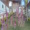Domus Guesthouse