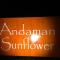 Andaman Sunflower