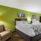 Sleep Inn & Suites Gallatin - Nashville Metro - Ґаллатін