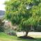 Cest La Vie Bed & Breakfast