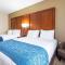 Comfort Inn & Suites Pine Bluff