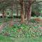 Charming Hideaway with Patio 3 Mi to Kansas State!