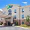 Holiday Inn Express Hotel & Suites Austell Powder Springs, an IHG Hotel - Austell