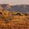 Etendeka Mountain Camp - Damaraland