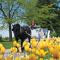 Holiday Inn Club Vacations at Lake Geneva Resort