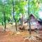 Jungle guest house