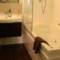 Terra Vive Suites & Apartments