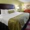 Best Western Plus Addison/Dallas Hotel