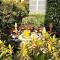 Boutique Hotel Gauthier Restaurant Terrasse