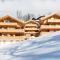 Panoramapark Soleil Chalet C - Wengen