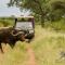 Elandela Private Game Reserve and Luxury Lodges Pty Ltd - Hoedspruit