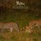 Elandela Private Game Reserve and Luxury Lodges Pty Ltd - Hoedspruit
