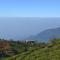 Hill Safari - Tea Estate Villa
