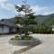 Thai Tea Garden Home