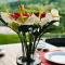 Parisons Plantation Experiences by Abad