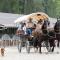 Reitstall und Saloon San Jon