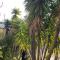 Rez de villa avec beau jardin et belle vue - 圣罗兰度瓦