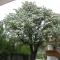 Garni Appartment Wagnerhof