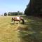 Nowa Wola 58 - 200qm appartment in a small village, with pool, sauna and big garden - Rusiec