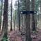 Bears Den Mountain Lodge
