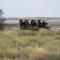 Zebra Kalahari Lodge
