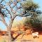 Zebra Kalahari Lodge
