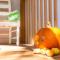 Home by Beach 5 - The Treehouse