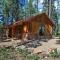 Mancos Cabin Rental on 80 Acres with Mountain View!